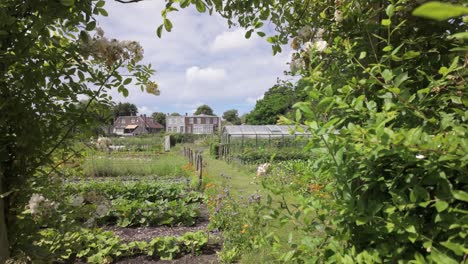 a community garden with a greenhouse in urban leiden, located in south holland, netherlands - wide shot