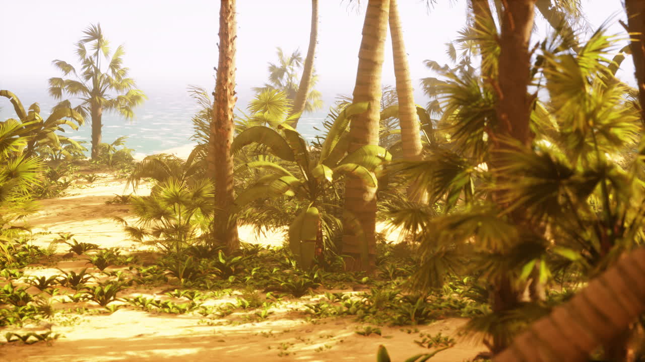 playa tropical con palmeras