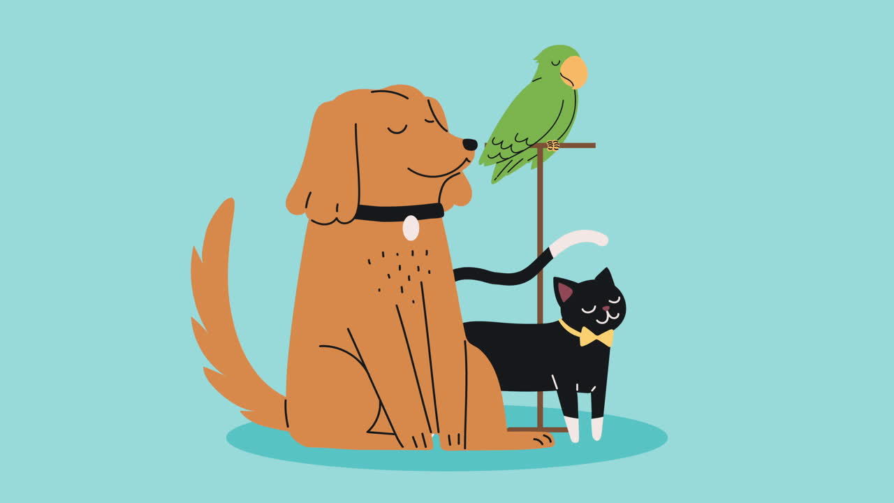 개와 고양이와 무새 애니메이션