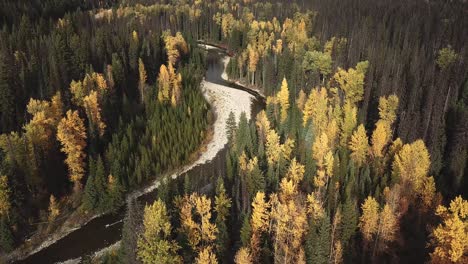 Tilt-up-from-Similkameen-river-in-the-autumn-forest-to-forested-mountains