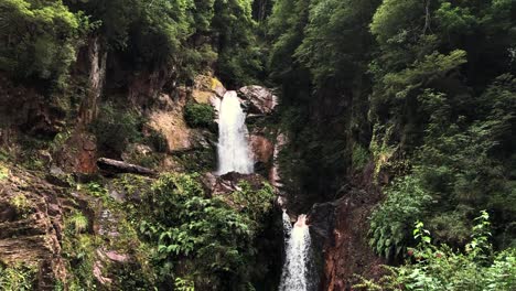 cascada natural entre la vegetación