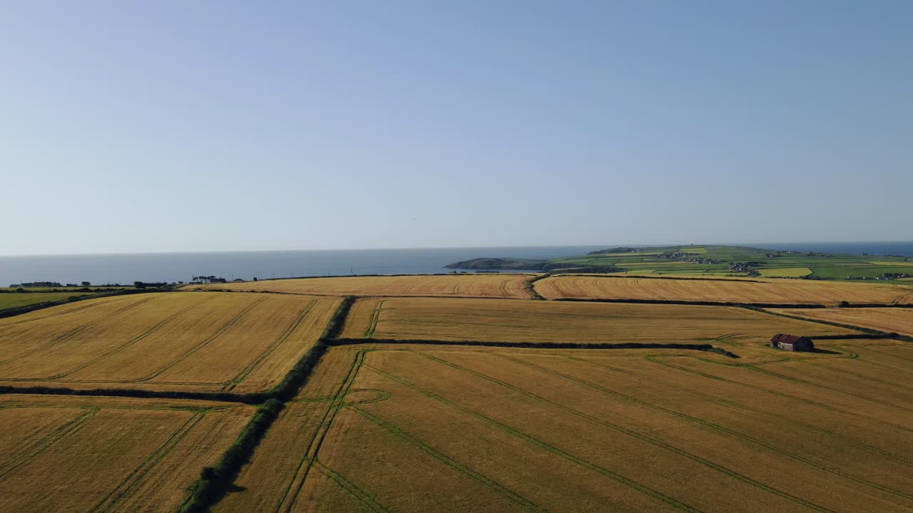Yellow crop fields create patchwork in rural Ireland, an revealing aerial footage of a coastal region in Ireland