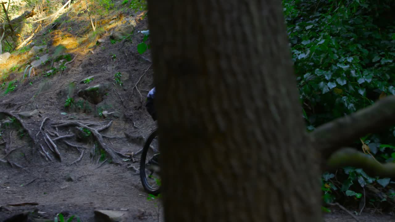 hombre montando en bicicleta en el bosque 4k