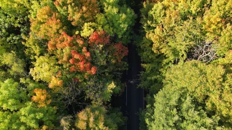 birds-eye view of two cars driving on a country road with autumn coloured trees