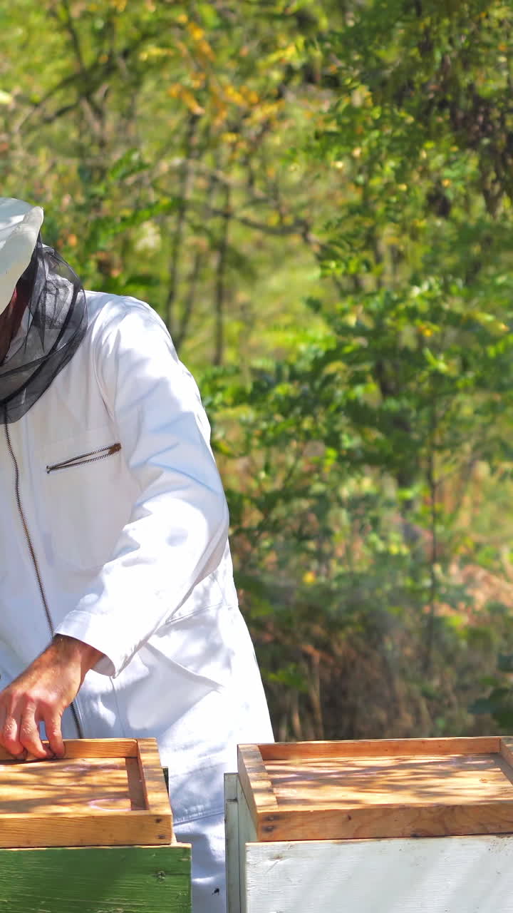 Beekeeper working collect honey. Beekeeping concept Vertical video