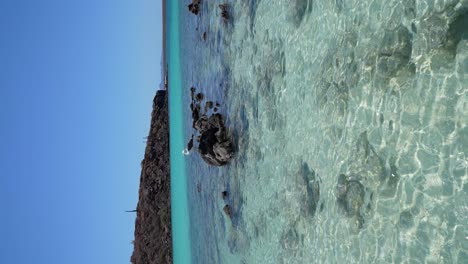 Sea-gull-standing-on-a-rock-surrounded-by-crystal-clear-beach-water-in-Isla-Coronado,-Loreto,-Baja-California-Sur,-Mexico