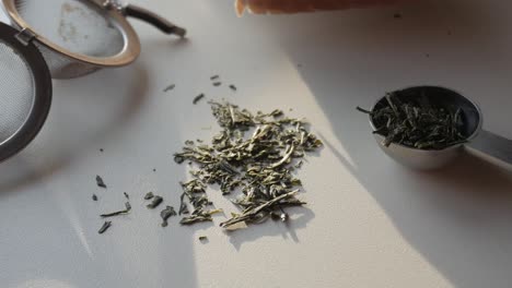 fresh green tea leaves laid out next to a measuring spoon and tea infuser