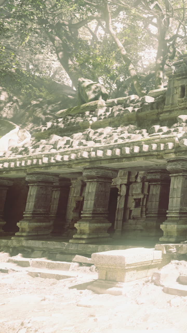 Exploring ancient ruins hidden in a lush forested landscape