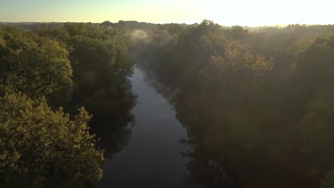 k drone river through woods foggy morning fly