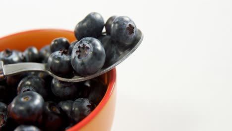 Blueberries-on-spoon-against-white-background-4K-4k