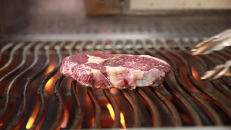 steak grilling on barbecue grill