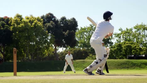 Wicket-keeper-taking-a-catch-during-cricket-match