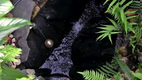 Water-inside-the-Tropicario,-Bogotá-Botanical-Gardens,-Colombia