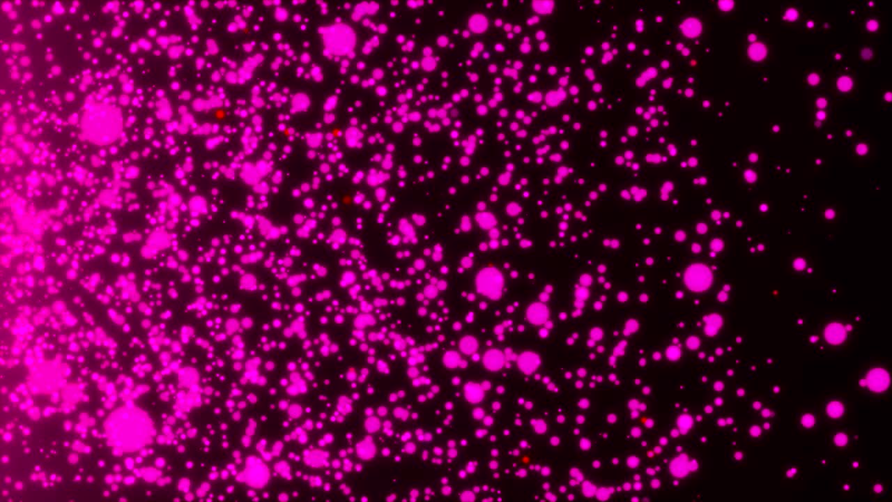 Many abstract small violet particles in space, computer generated abstract background