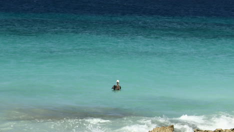 Brown-pelican-starts-flying-from-the-ocean