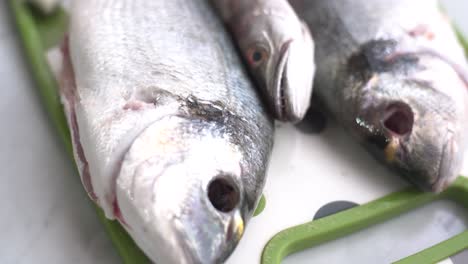 sea bream and whiting next to the garlic on the work surface