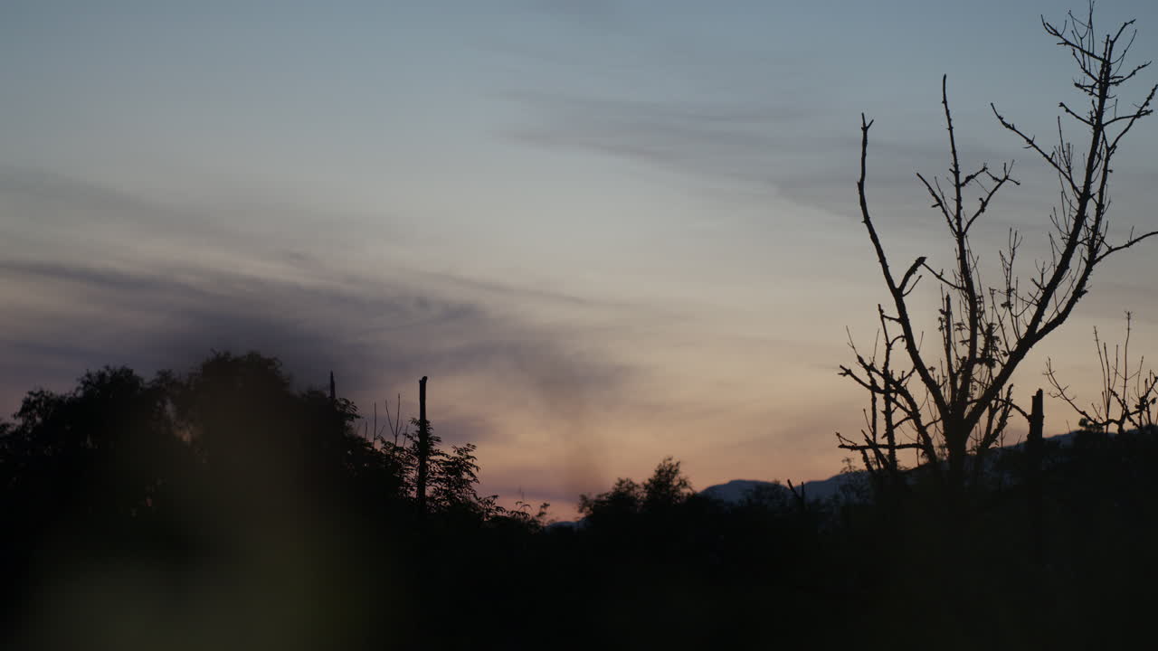 Sunset over forest, dark silhouetted trees and branches, red and blue sky with clouds