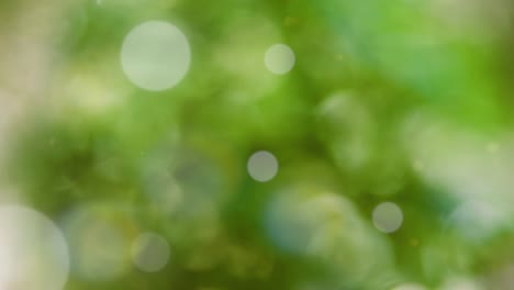 fondo de verano abstracto con bokeh