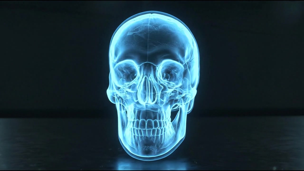 Primo piano di rendering olografico di un cranio umano con suture craniche dettagliate