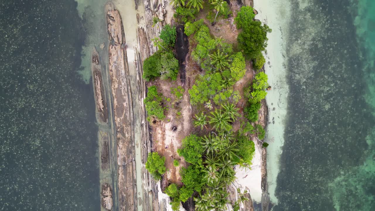 Bird's eye view perspective of timbayan rock runway and palm trees along sandy shore
