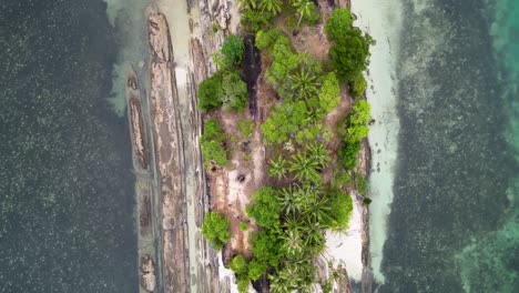 Bird's-eye-view-perspective-of-timbayan-rock-runway-and-palm-trees-along-sandy-shore