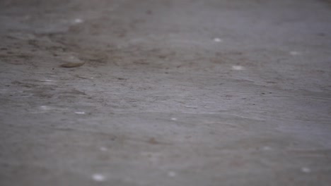 las gotas de lluvia están cayendo en un charco en un hormigón gris