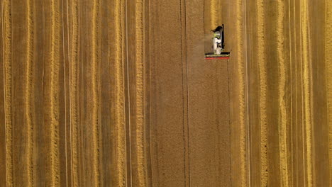 Two-combine-harvesters-drive-into-the-upper-part-of-the-screen,-mowing-grain-in-the-field-during-the-harvest-period