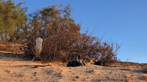 environmental pollution - plastic waste and fast fashion waste stuck in desert