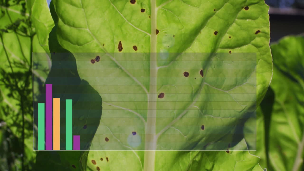 녹색 잎 위에 다채로운 다이어그램의 애니메이션