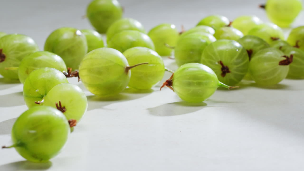 초록색 가시베리