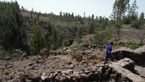 hombre con una camiseta azul corriendo por un sendero volcánico, bosque verde, tenerife, españa
