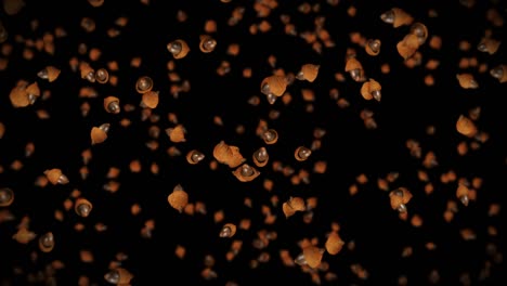 volando muchas bellotas de otoño en fondo negro. símbolo de la caída, nueces de roble, regalos de la caída. animación 3d de semillas de bellota girando. animación de bucle.