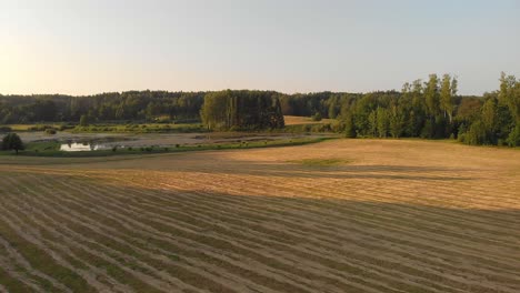 meadows of saxon switzerland national park germany aerial