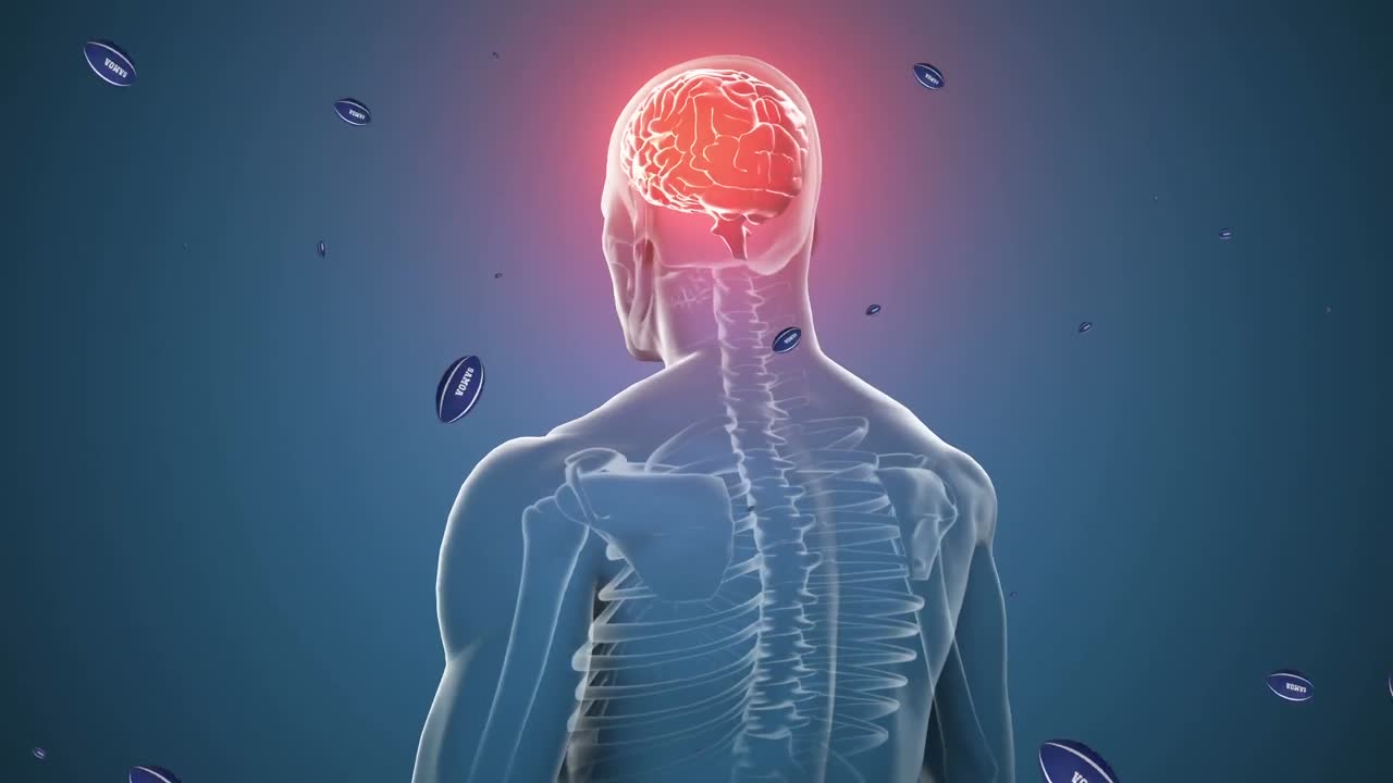 뇌를 가진 디지털 인간 위에 사모아 텍스트와 함께 럭비 공의 애니메이션