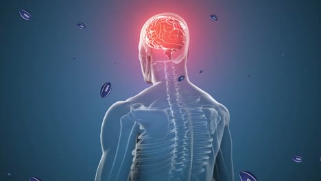 animación de pelotas de rugby con texto samoa sobre humano digital con cerebro