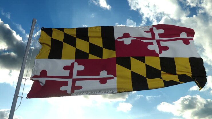 Bandiera del Maryland su un'asta che sventola al vento, sfondo di cielo azzurro. 4K