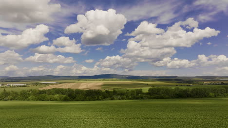 a wide shot of a green field under a blue sky with fluffy white clouds