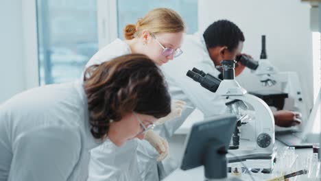 científicos trabajando en un laboratorio con microscopios