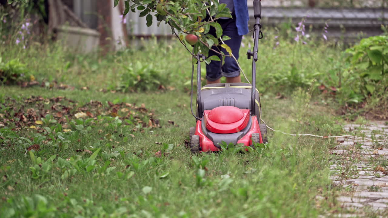 Male is working with red lawn mower on grass. Process of cutting grass with energy saving mechanical lawn mower.
