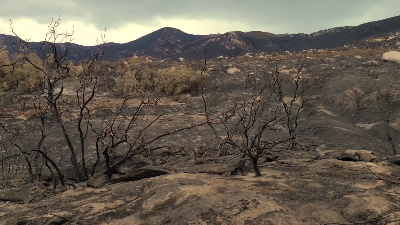 캘리포니아의 페어뷰 산불 이후 언덕이 많은 풍경의 넓은 팬