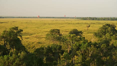 hot air balloon flight ride, high view flying over maasai mara landscape scenery in africa, aerial shot of beautiful african savannah at sunrise in amazing travel experience luxury ballooning trip