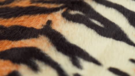 tiger fur fabric close-up. animal print background, striped wool textile. symbol of year 2022. handmade, fashion design and tailoring concept