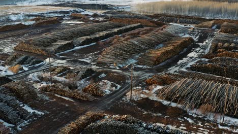 Toma-Aérea-De-Enormes-Reservas-De-árboles-Cortados-En-Un-Paisaje-Canadiense-Cubierto-De-Nieve-En-Thurso-Quebec-Para-La-Industria-De-La-Pulpa-Y-El-Papel.