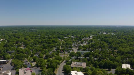 Aerial-View-of-Suburban-Homes-in-Charlotte,-North-Carolina,-Hidden-by-Thic-Green-Trees