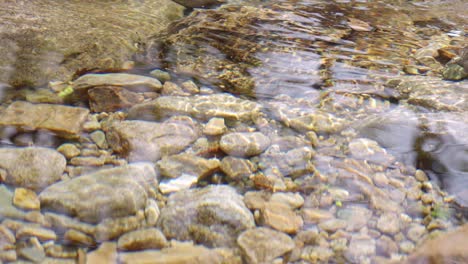 a clear stream with sparkling water surface，a clear and bottomless river