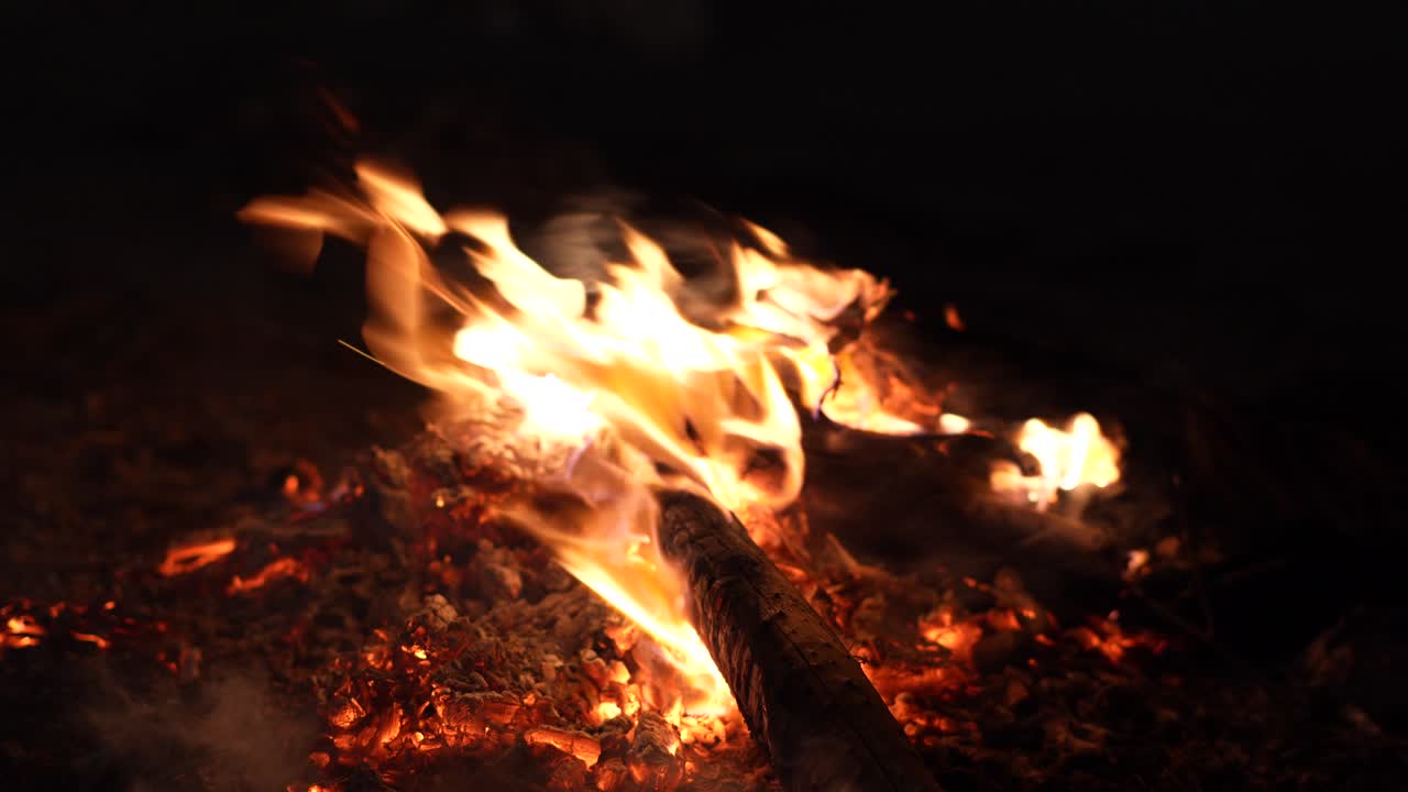 어 ⁇  속에서 불꽃을 피우고