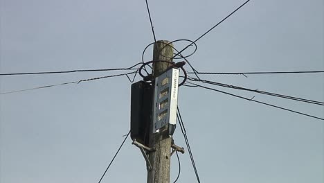 Close-up-of-the-top-of-a-telegraph-pole-where-telephone-wires-are-seen-leaving