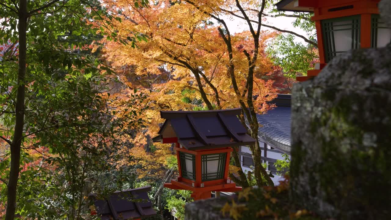 increíble paisaje de colores de otoño en el santuario de kuramadera en japón