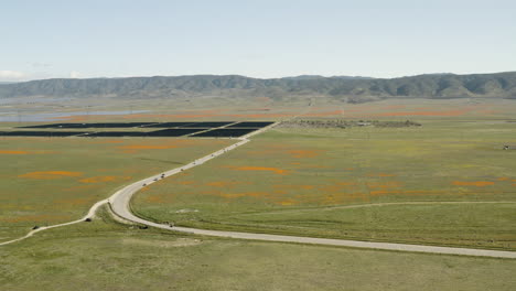 Fliegen-über-Einen-Solarpark-Im-Antelope-Valley-California-Poppy-Reserve