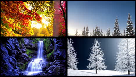 four seasons collage